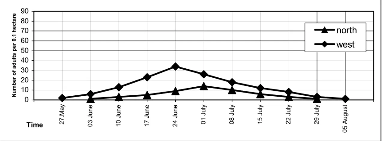 Figure 3. The adult flight period of Coroebus rubi at Fidyekızık in two different orchards in 1999.