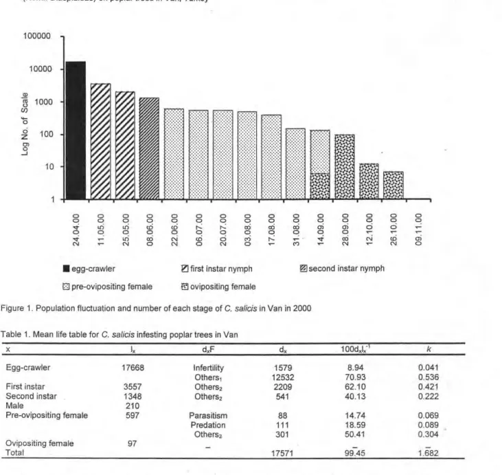 Figure 1. Population fluctuation and number of each stage of C.  salicis  in Van in 2000 