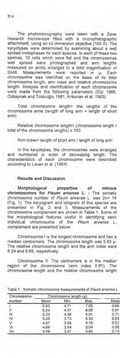 Table 1.  Somatic chromosome measurements of  Pisum arvense  L. 