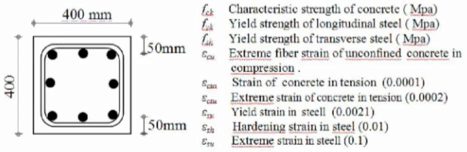 Figure 4. The cross-section considered in analyses. 