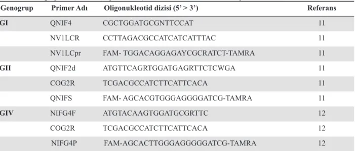 Tablo 1: Genogrup I, GII ve GIV saptanması için real-time PCR’da kullanılan primer dizileri