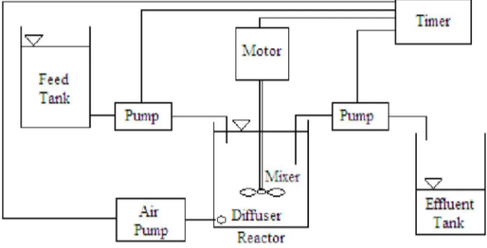 Figure 1. The schematic diagram of SBR 