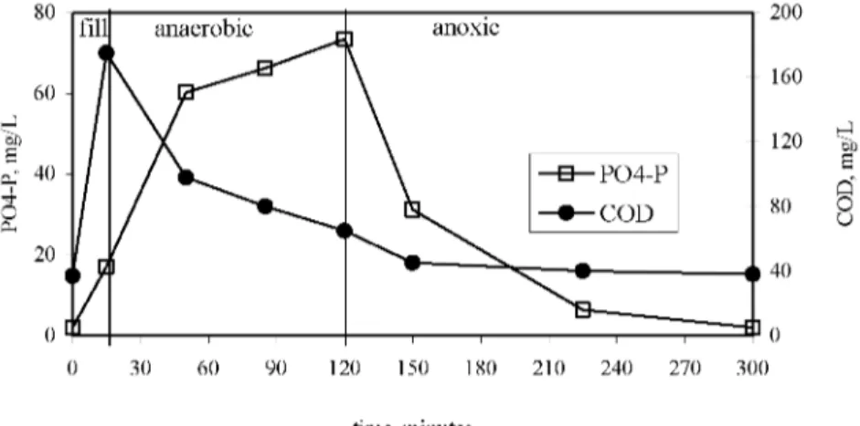 Figure 2. The COD and PO 4 -P profiles in acetate-fed reactor. 