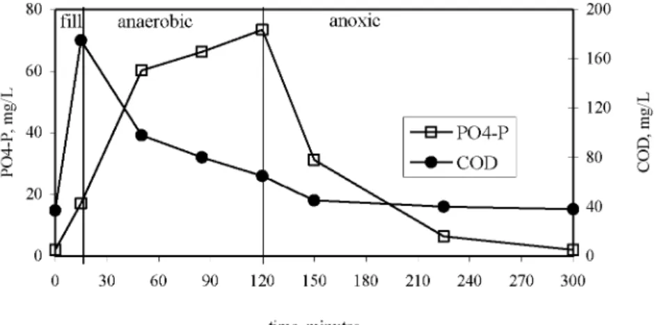 Figure 2. The COD and PO 4 -P profiles in acetate-fed reactor. 