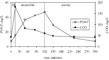 Figure 3. The COD and PO 4 -P profiles in glucose-fed reactor. 