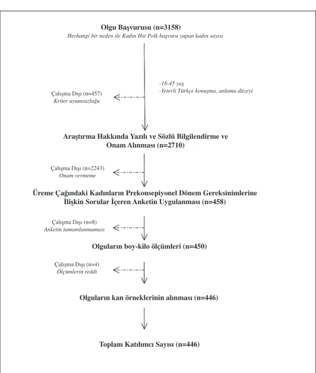Şekil 1. Araştırma Aşamaları.
