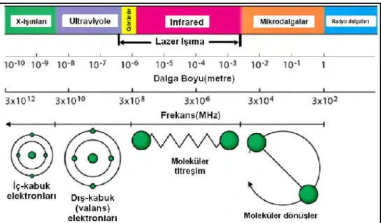 Şekil  2.1. Elektromanyetik  spektrumda  yer  alan  bazı  ışınların  madde  üzerine  etkileri