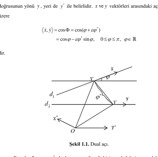 Şekil 1.1. Dual açı. 