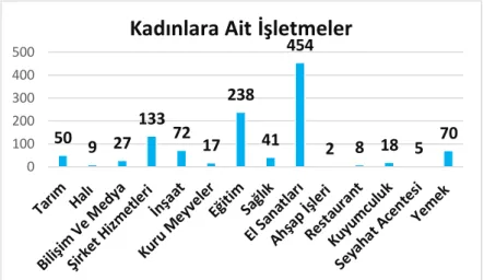 Grafik 2: Afganistan'da Kadılara Ait İşletmeler, 2003