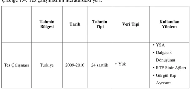 Çizelge 1.4. Tez çalışmasının literatürdeki yeri. 