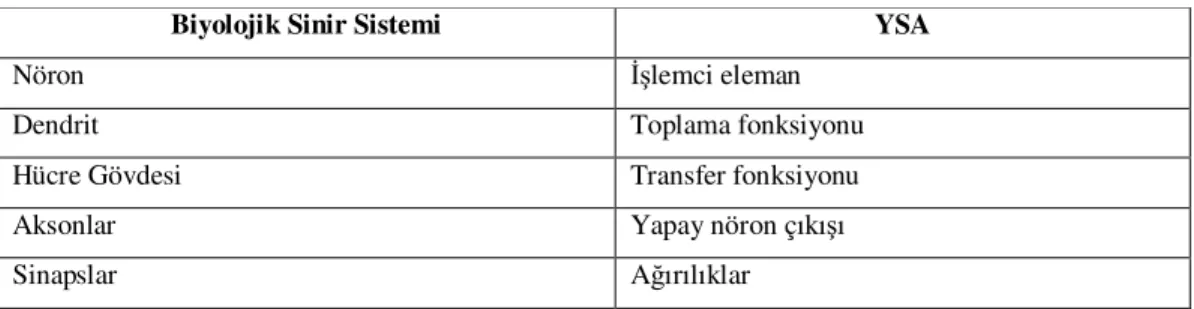 Çizelge 3.1. Biyolojik sinir sistemi ile YSA’nın benzeşimi (Sağıroğlu vd., 2003). 