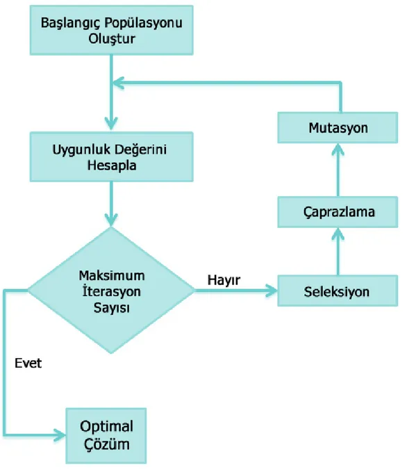 Şekil 3.1. Genetik Algoritma için örnek akış şeması. 