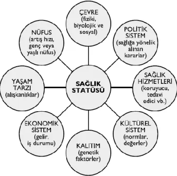 ġekil 1: Sağlık Statüsünün Belirleyicileri 