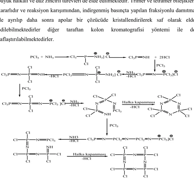 Şekil 2.13. Halkalı fosfazen bileşiklerinin sentezi. 