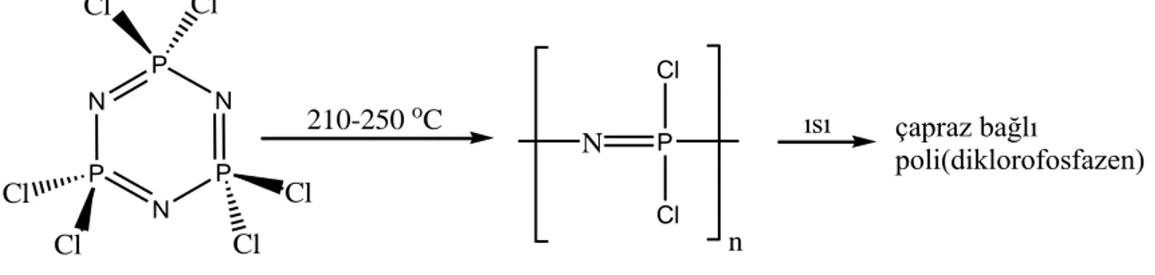 Şekil 2.14. Poli(diklorofosfazen)’in trimerden sentezi. 