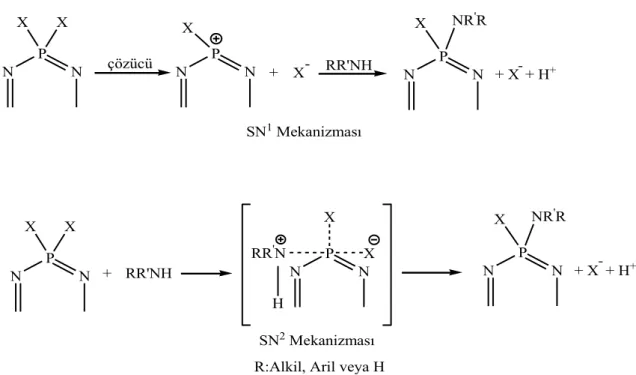 Şekil 2.20. Fosfazenlerin genel aminoliz reaksiyonları. 