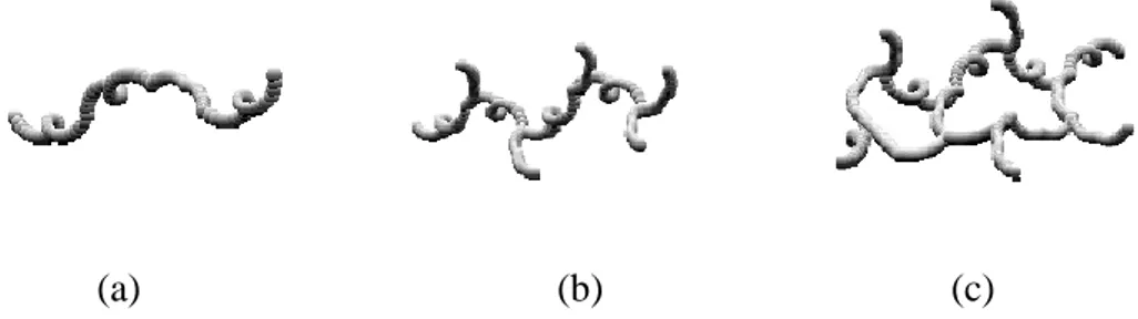 Şekil 2.1.  Polimerlerin zincir yapılarına göre sınıflandırılması, (a) Doğrusal 