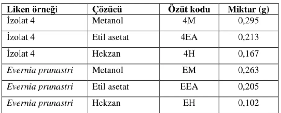 Tablo 4.1. Stok liken özütlerinin kodları 