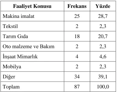 Tablo 6: Anket Uygulanan İşletmelerin Faaliyet Konuları 