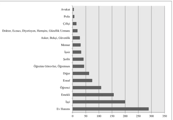 Şekil 6. Katılımcıların Mesleklerine Göre Dağılışı 