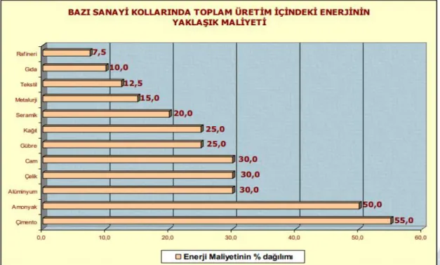 Şekil  2.2.  Bazı  sanayi  kollarında  toplam  üretim  içindeki  enerjinin  yaklaşık  maliyeti  (Onaygil, 2015)