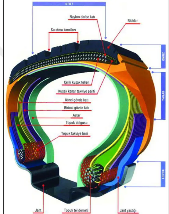 ġekil 2.2. Lastiği oluĢturan bölümlerin gösterildiği lastik kesiti görseli (BDB, 2019).