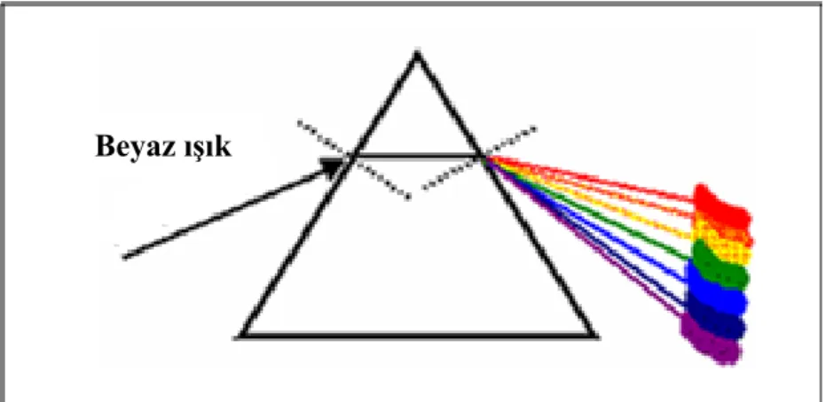 Şekil 2.3.Beyaz ışığın prizmada farklı dalgaboylarında kırınımı  2.2.  Renk oluşum mekanizmaları 