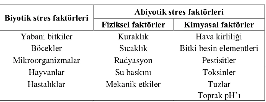 Çizelge 2.1. Biyotik ve abiyotik stres faktörleri (Kaçar, vd., 2010).  Biyotik stres faktörleri  Abiyotik stres faktörleri 