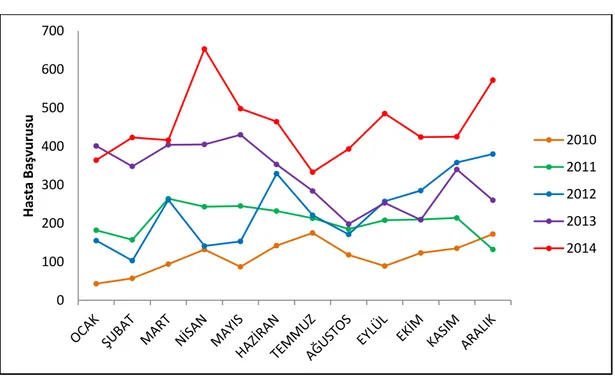 Grafik 4:  Bozüyük İlçesinde Alerjik Rinit Hastalığı Nedeniyle Bozüyük Devlet Hastanesine 