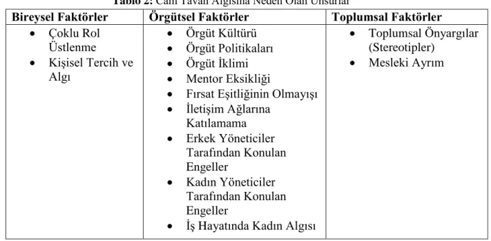 Tablo 2: Cam Tavan Algısına Neden Olan Unsurlar  