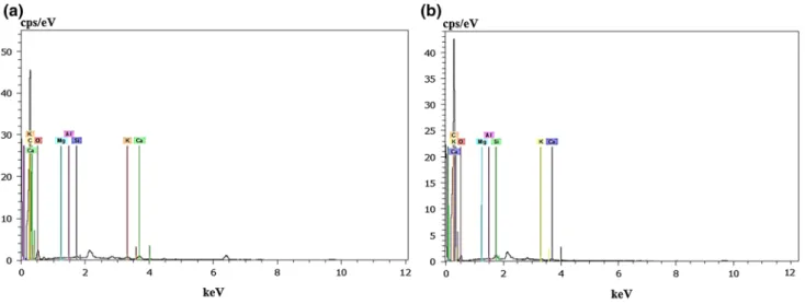 Fig. 5    EDX spectra of KOH (a) and  K 2 CO 3  (b) ACs