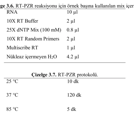 Çizelge 3.6. RT-PZR reaksiyonu için örnek başına kullanılan mix içeriği.  RNA  10 µl  10X RT Buffer  2 µl  25X dNTP Mix (100 mM)  0.8 µl  10X RT Random Primers  2 µl  Multiscribe RT  1 µl  Nükleaz içermeyen H 2 O  4.2 µl  Çizelge 3.7