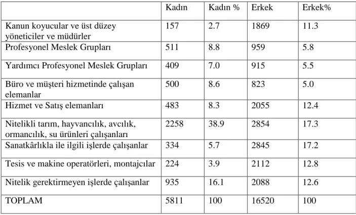 Tablo 9: Seçilmiş Bazı Mesleklerde Cinsiyet Rakamları 2006 (Bin) 