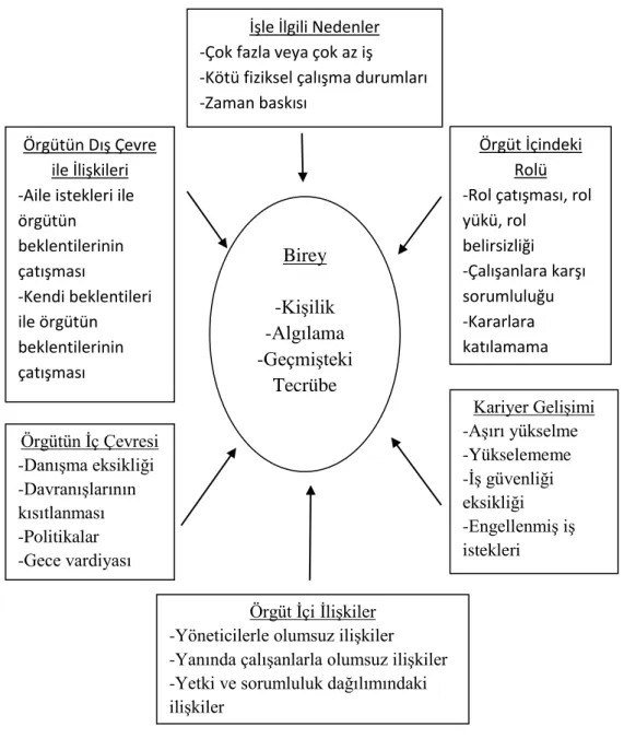 Şekil 2: Örgütsel Stres Kaynakları 