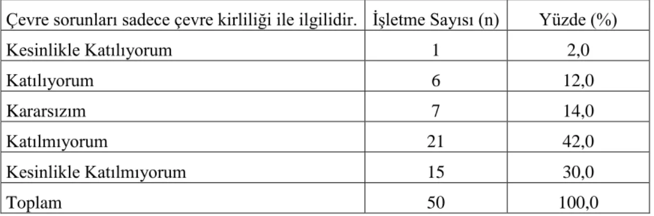 Tablo 20: Çevre Sorunlarında Çevre Kirliliği Algılaması 