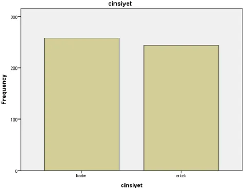 Şekil 3: Cinsiyet Dağılımı 