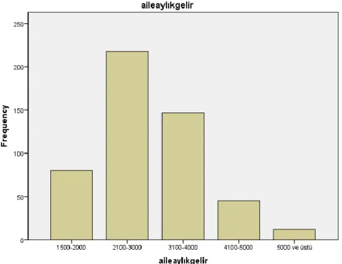 Şekil 8: Aile Aylık Gelir Dağılımı 