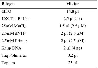 Çizelge 2.3. Kullanılan ISSR-PCR bileşenleri ve miktarları.  Bileşen  Miktar  dH2O  14.8 µl  10X Taq Buffer   2.5 µl (1x)  25mM MgCl2  1.5 µl (2.5 µM)  2.5mM dNTP  2 µl (2.5 µM)  2.5mM Primer  2 µl (2.5 µM)  Kalıp DNA  2 µl (4 ng)  Taq Polimeraz   0.2 µl  