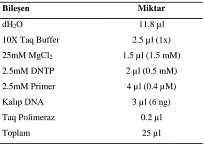 Çizelge 2.6. RAPD-PCR bileşenleri ve miktarları.  Bileşen  Miktar  dH2O  11.8 µl  10X Taq Buffer   2.5 µl (1x)  25mM MgCl2  1.5 µl (1.5 mM)  2.5mM DNTP  2 µl (0.5 mM)  2.5mM Primer  4 µl (0.4 µM)  Kalıp DNA  3 µl (6 ng)  Taq Polimeraz   0.2 µl  Toplam  25 