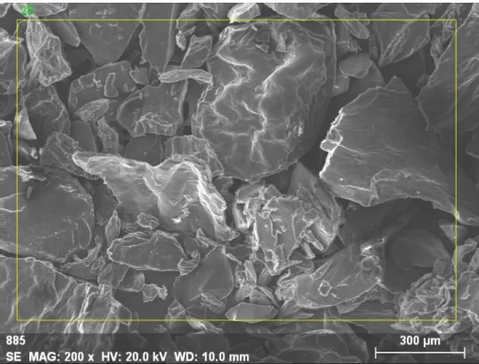 Fig. 3: SEM scan at 20kV of pectic substances  obtained  from SK13, Magnitude: 200 X, original with of picture was 300µ 