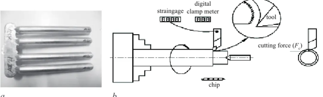 Fig. 2. Samples obtained by casting method in the study (a) and schematic representation of ex-