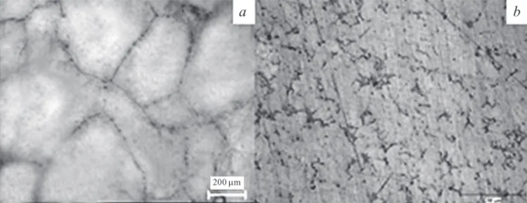 Fig. 3. Optical micrographs of AZ21 (a) and AS21 series magnesium alloys (b)