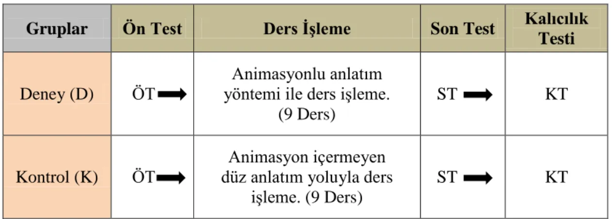 Çizelge 2.1. OluĢturulan Gruplar ve Uygulanan Yöntemler 