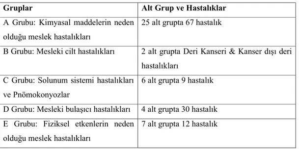 Çizelge 2.5. Türkiye’de meslek hastalıkları sınıflandırması (Bilgen, 2013). 