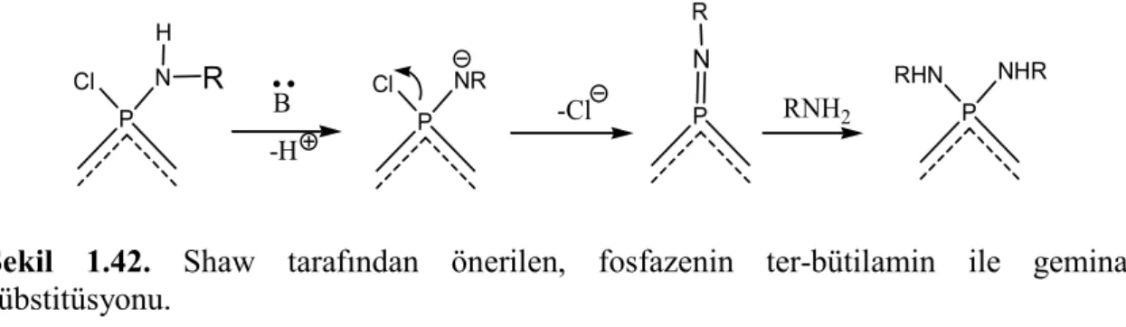 Şekil  1.42.  Shaw  tarafından  önerilen,  fosfazenin  ter-bütilamin  ile  geminal  sübstitüsyonu