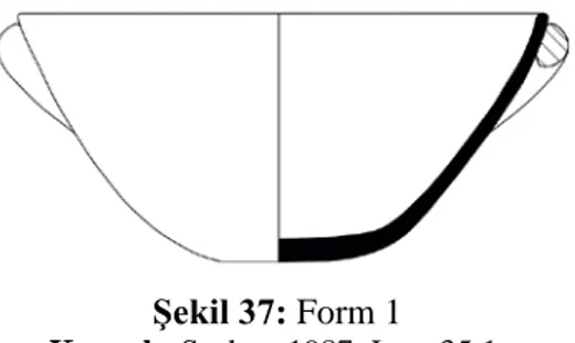 Şekil 37: Form 1