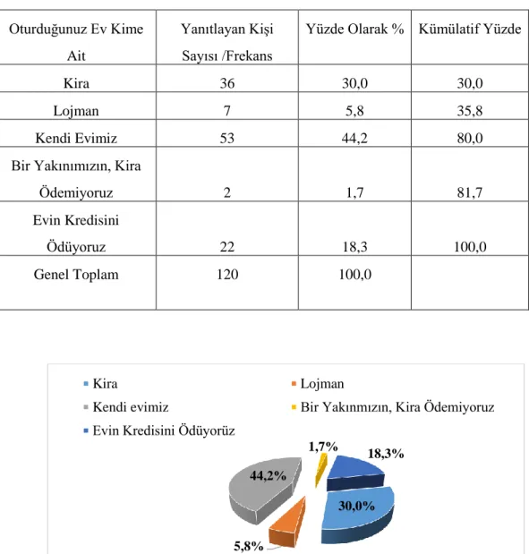 Tablo 11: Ankete Katılan Bireylerin Konut Durumları 