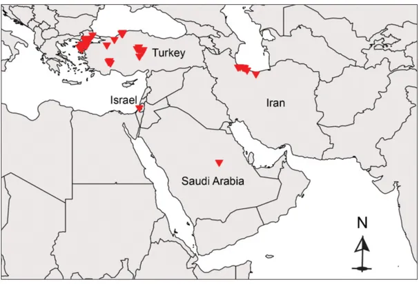 Fig 20. Currently known distribution of H. axyridis in the Middle East region, with reports in Iran, Israel, Saudi Arabia, and Turkey