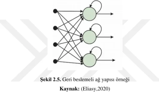 Şekil 2.5. Geri beslemeli ağ yapısı örneği   Kaynak: (Eliasy,2020) 