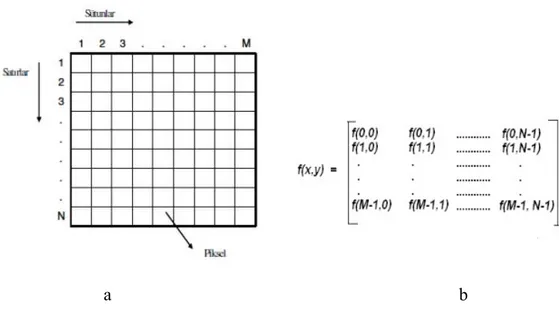 Şekil 4.2. a. Sayısal görüntü matrisi, b. Sayısal görüntü fonksiyonu 